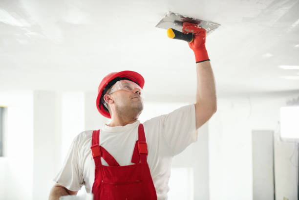 Asbestos and Lead Testing During Mold Inspection in Grosse Pointe Farms, MI