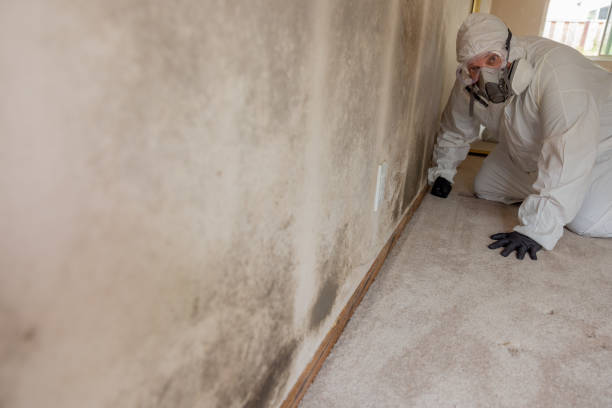 Mold Removal for HVAC Installations in Grosse Pointe Farms, MI